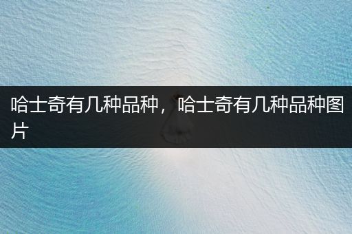 哈士奇有幾種品種，哈士奇有幾種品種圖片