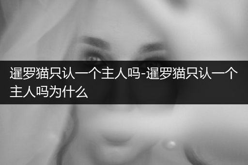暹羅貓只認一個主人嗎-暹羅貓只認一個主人嗎為什么