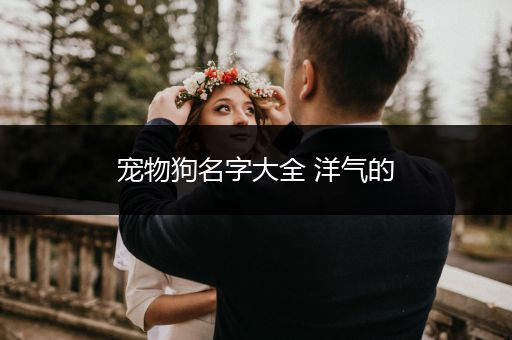 寵物狗名字大全 洋氣的
