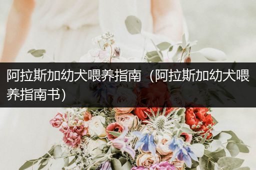 阿拉斯加幼犬喂養(yǎng)指南（阿拉斯加幼犬喂養(yǎng)指南書）