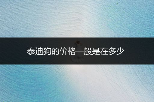 泰迪狗的價(jià)格一般是在多少 
