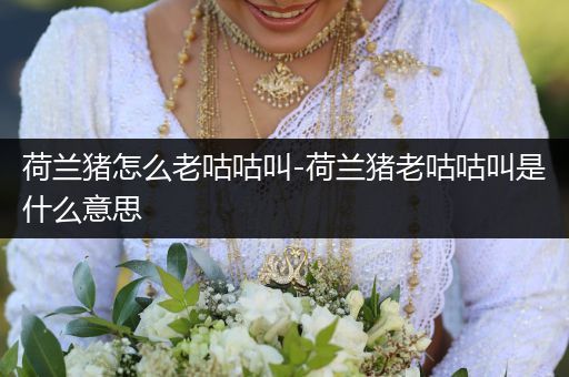 荷蘭豬怎么老咕咕叫-荷蘭豬老咕咕叫是什么意思