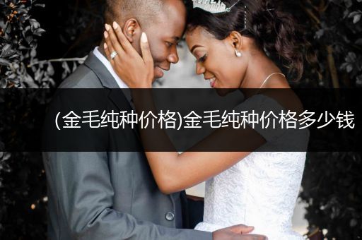(金毛純種價(jià)格)金毛純種價(jià)格多少錢(qián)