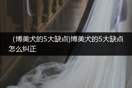 （博美犬的5大缺點)博美犬的5大缺點怎么糾正