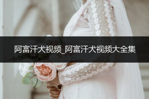 阿富汗犬視頻_阿富汗犬視頻大全集