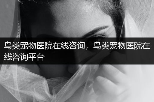 鳥類寵物醫(yī)院在線咨詢，鳥類寵物醫(yī)院在線咨詢平臺
