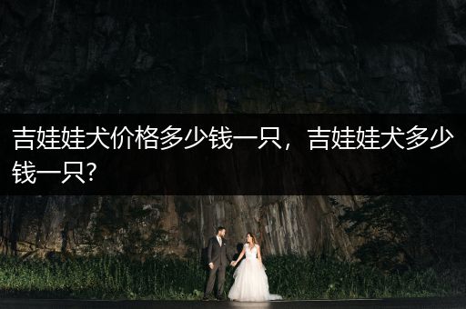 吉娃娃犬價格多少錢一只，吉娃娃犬多少錢一只?