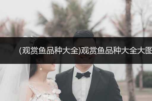 （觀賞魚品種大全)觀賞魚品種大全大圖