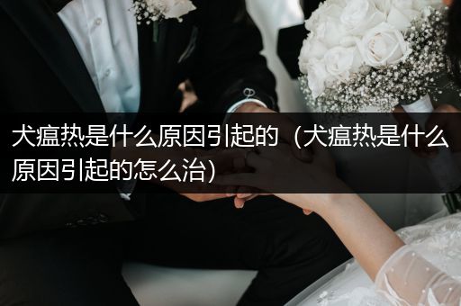 犬瘟熱是什么原因引起的（犬瘟熱是什么原因引起的怎么治）