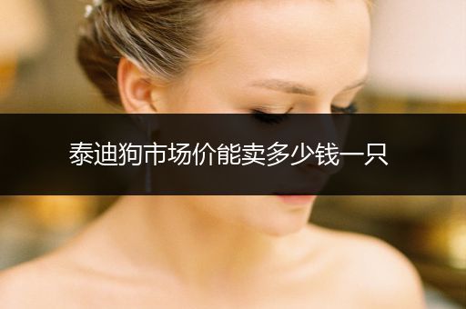 泰迪狗市場價(jià)能賣多少錢一只 