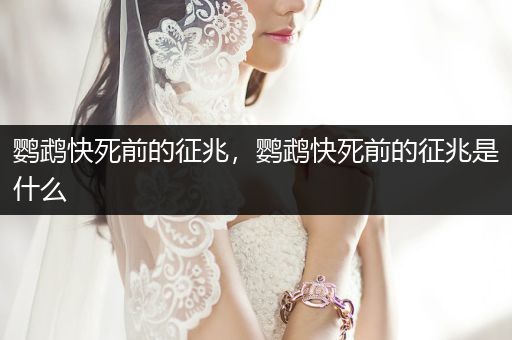 鸚鵡快死前的征兆，鸚鵡快死前的征兆是什么