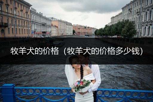 牧羊犬的價(jià)格（牧羊犬的價(jià)格多少錢）