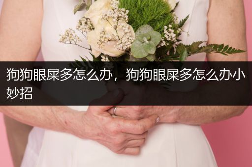 狗狗眼屎多怎么辦，狗狗眼屎多怎么辦小妙招