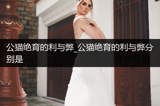 公貓絕育的利與弊_公貓絕育的利與弊分別是