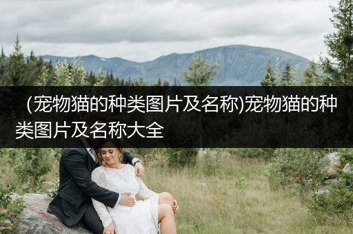 （寵物貓的種類圖片及名稱)寵物貓的種類圖片及名稱大全
