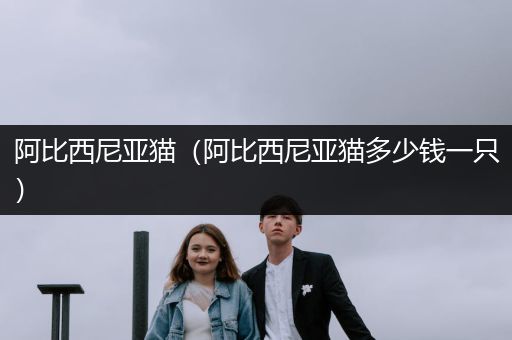 阿比西尼亞貓（阿比西尼亞貓多少錢一只）