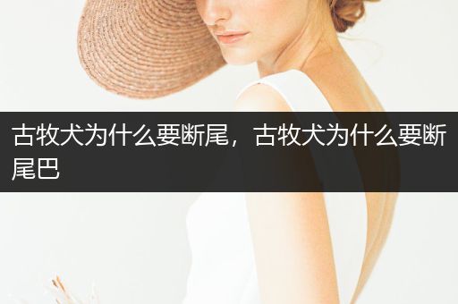 古牧犬為什么要斷尾，古牧犬為什么要斷尾巴