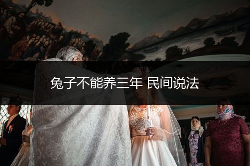 兔子不能養(yǎng)三年 民間說(shuō)法