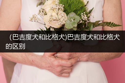 （巴吉度犬和比格犬)巴吉度犬和比格犬的區(qū)別