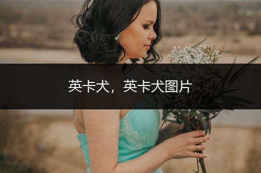 英卡犬，英卡犬圖片