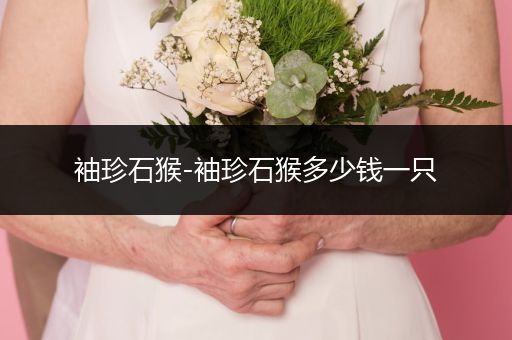 袖珍石猴-袖珍石猴多少錢一只