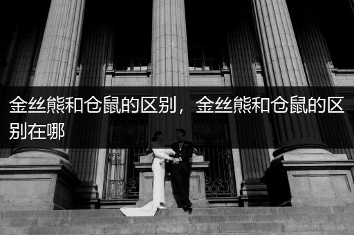 金絲熊和倉鼠的區(qū)別，金絲熊和倉鼠的區(qū)別在哪