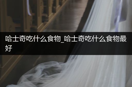 哈士奇吃什么食物_哈士奇吃什么食物最好