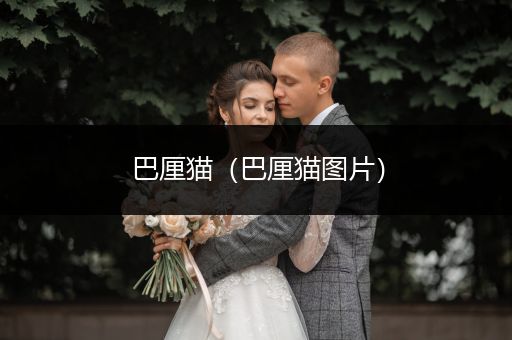 巴厘貓（巴厘貓圖片）