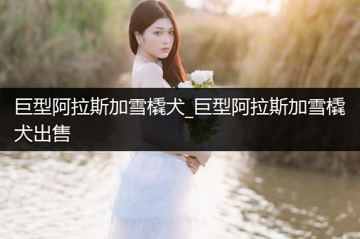 巨型阿拉斯加雪橇犬_巨型阿拉斯加雪橇犬出售