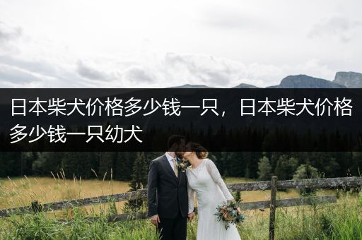 日本柴犬價格多少錢一只，日本柴犬價格多少錢一只幼犬