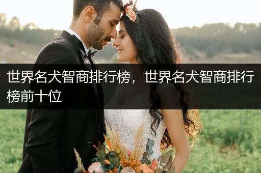 世界名犬智商排行榜，世界名犬智商排行榜前十位