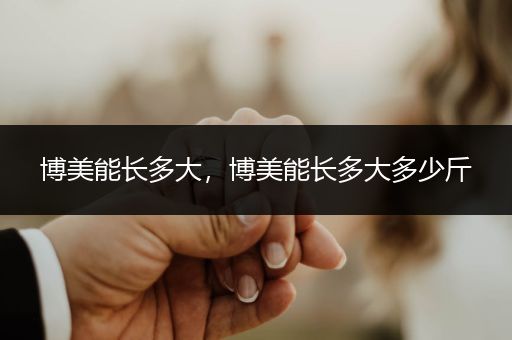 博美能長(zhǎng)多大，博美能長(zhǎng)多大多少斤