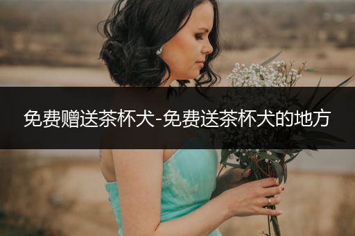 免費(fèi)贈(zèng)送茶杯犬-免費(fèi)送茶杯犬的地方