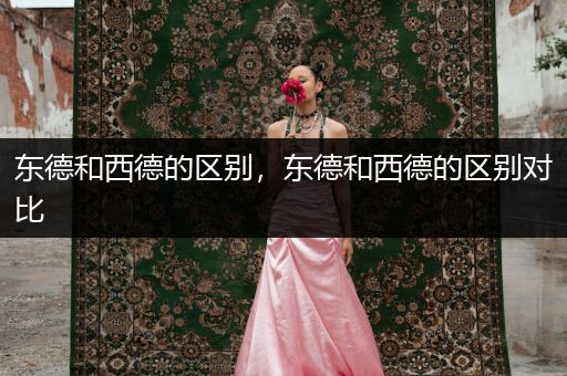 東德和西德的區(qū)別，東德和西德的區(qū)別對(duì)比