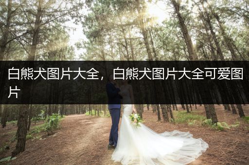 白熊犬圖片大全，白熊犬圖片大全可愛圖片