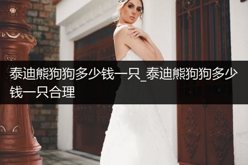 泰迪熊狗狗多少錢一只_泰迪熊狗狗多少錢一只合理