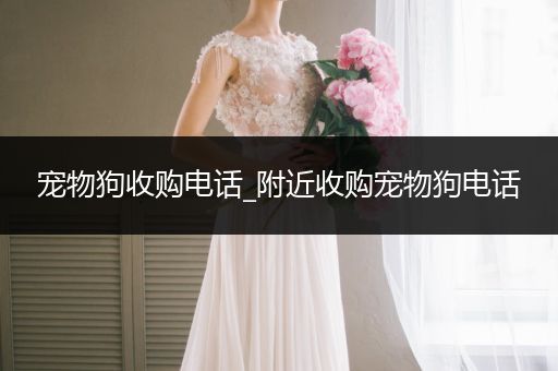 寵物狗收購電話_附近收購寵物狗電話