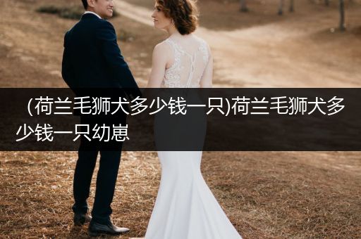 （荷蘭毛獅犬多少錢一只)荷蘭毛獅犬多少錢一只幼崽