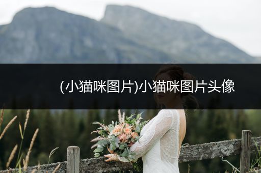 （小貓咪圖片)小貓咪圖片頭像