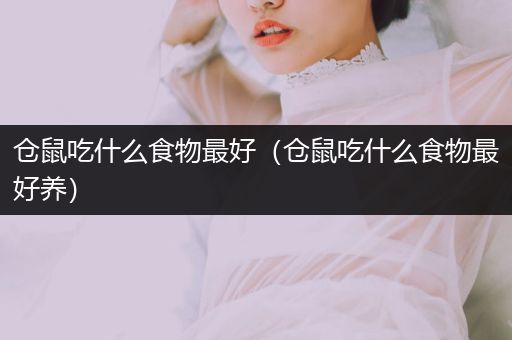 倉鼠吃什么食物最好(倉鼠吃什么食物最好養(yǎng))