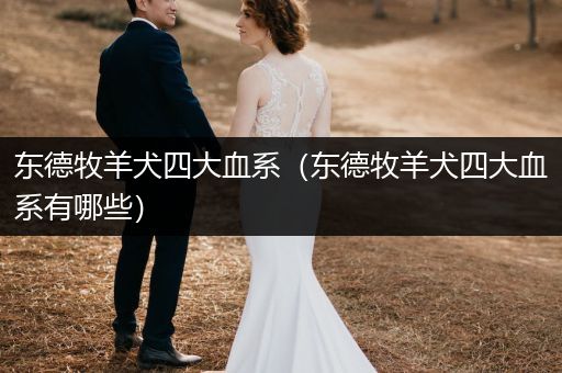 東德牧羊犬四大血系(東德牧羊犬四大血系有哪些)