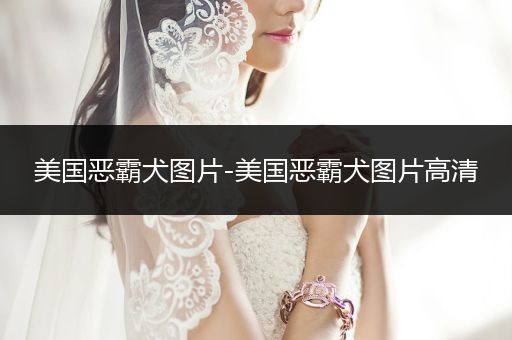 美國(guó)惡霸犬圖片-美國(guó)惡霸犬圖片高清