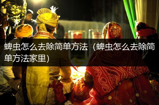 蜱蟲怎么去除簡單方法（蜱蟲怎么去除簡單方法家里）