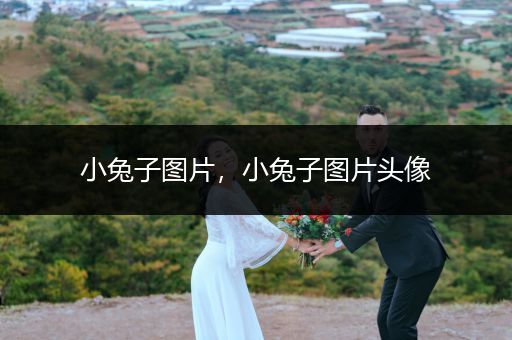 小兔子圖片，小兔子圖片頭像