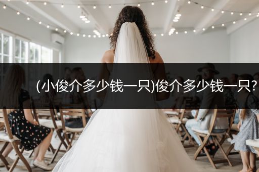 （小俊介多少錢一只)俊介多少錢一只?