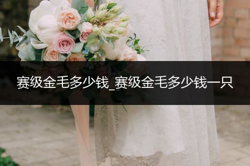 賽級(jí)金毛多少錢_賽級(jí)金毛多少錢一只