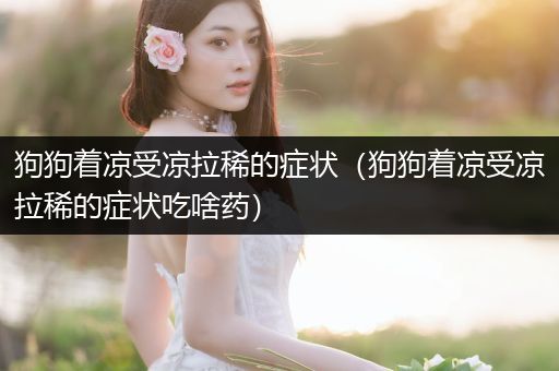狗狗著涼受涼拉稀的癥狀（狗狗著涼受涼拉稀的癥狀吃啥藥）