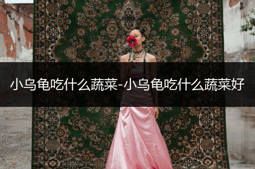 小烏龜吃什么蔬菜-小烏龜吃什么蔬菜好