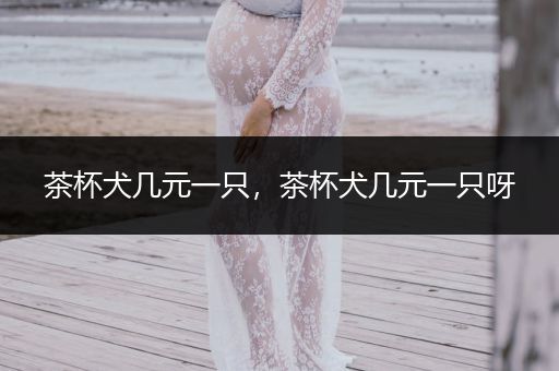 茶杯犬幾元一只，茶杯犬幾元一只呀