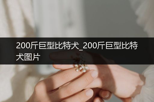 200斤巨型比特犬_200斤巨型比特犬圖片